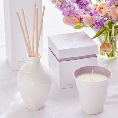 faces sophie conran reed diffuser 200ml   wisdom