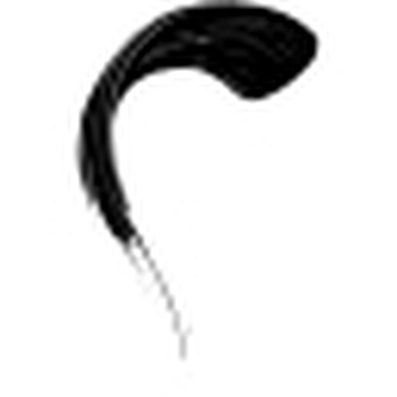bourjois eyecatching mascara black