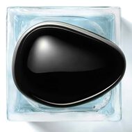 faces vetier d hiver  armani prive eau de toilette