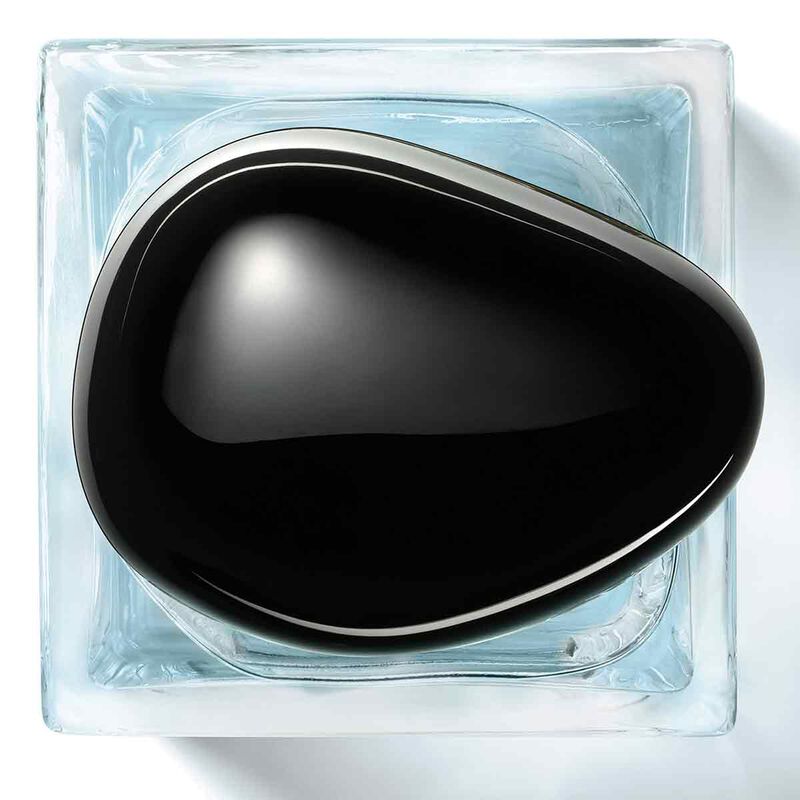 armani beauty vetier d'hiver  armani prive eau de toilette