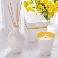 faces sophie conran reed diffuser 200ml purpose