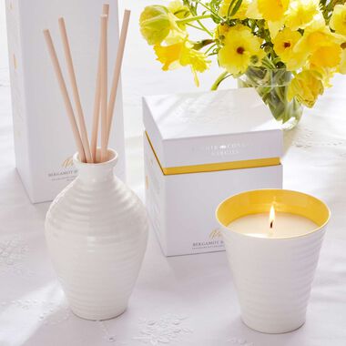 faces sophie conran reed diffuser 200ml   purpose