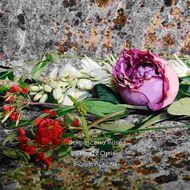 Gucci Bloom Ambrosia di Fiori Intense For Her  Eau de Parfum faces gucci bloom ambrosia di fiori intense for her  eau de parfum