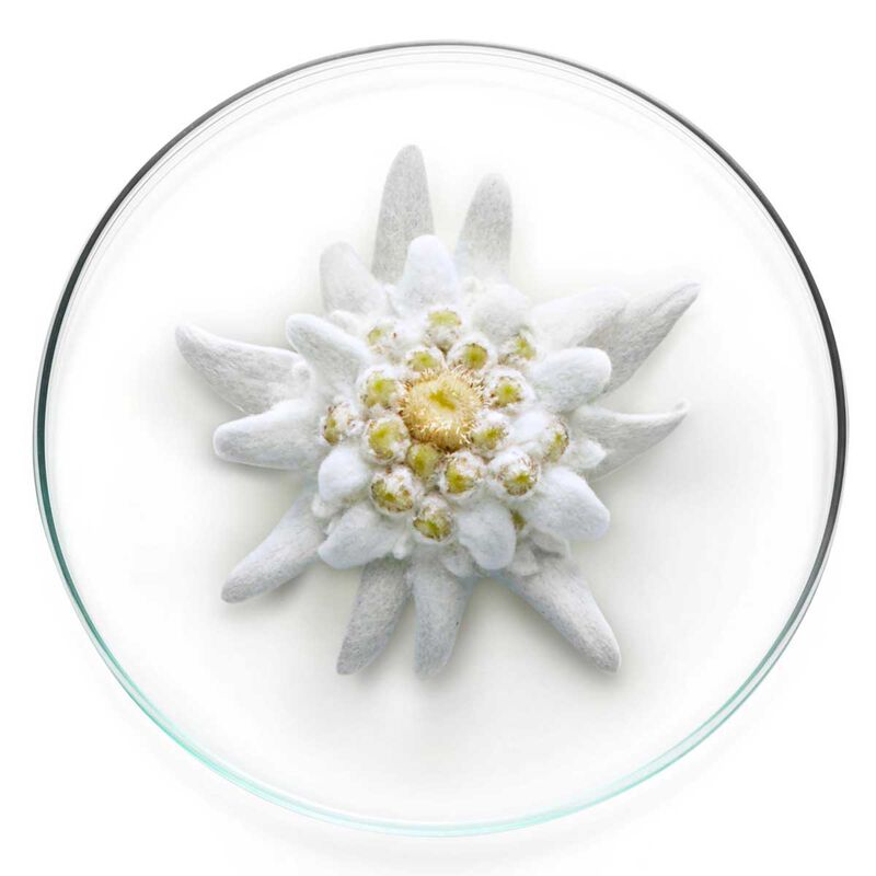 lancome expert aqua gel spf 54