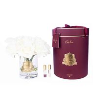 faces home diffuser grand rose bouquet champagne rink box with gold badge