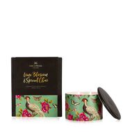 faces street mythology large lime blossom and spiced chai wax fill candle