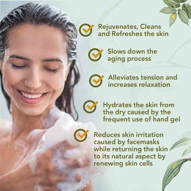 faces organic herbal green tea soap pack of 6