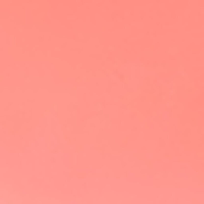 dear dahlia blooming edition lip paradise color balm