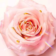 faces idole leau de parfum nectar eau de parfum