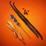 faces stronger with you intensely eau de parfum