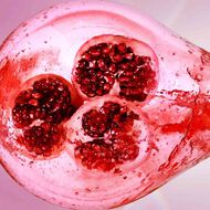 faces nutritious super pomegranate radiant energy night creme 50ml