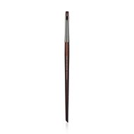 faces 300 lip brush