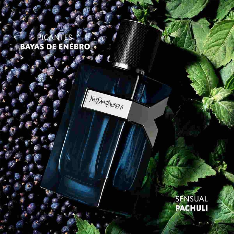 Y MEN EDP V200ML MAD yves saint laurent y men edp v200ml mad