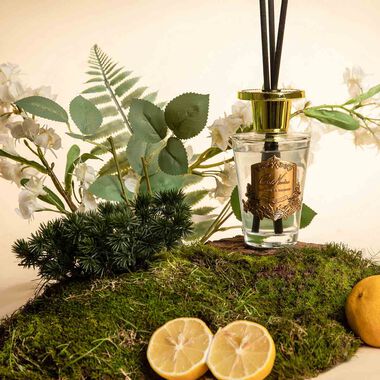 faces reed diffuser persian lime   tangerine with gold badge 150ml