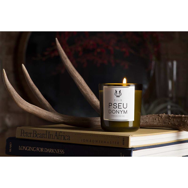 ellis brooklyn pseudonym terrific scented candle 185g