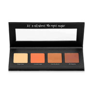 faces contour revolution   sculpt and correct palette