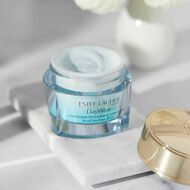 DayWear Anti-Oxidant 72H-Hydration Sorbet Creme SPF 15 faces daywear anti oxidant 72h hydration sorbet creme spf 15