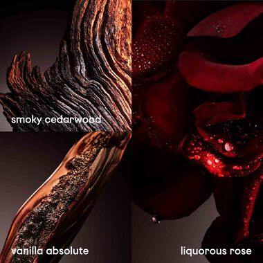 faces one million elixir the new intense parfum