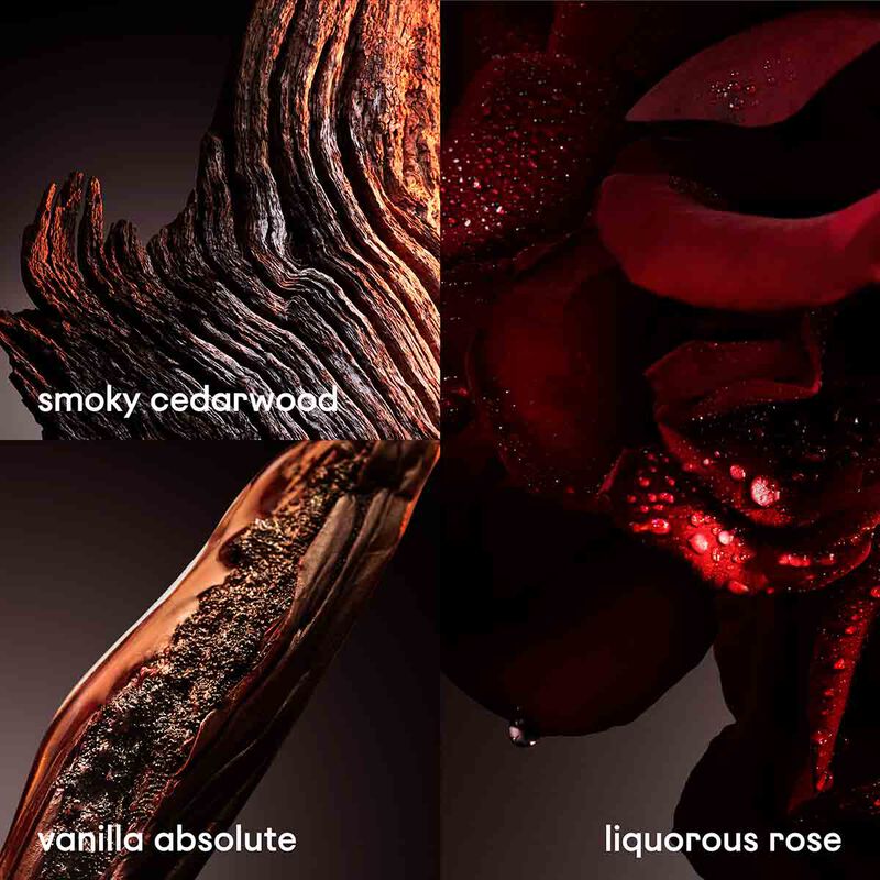 pacorabanne one million elixir the new intense parfum