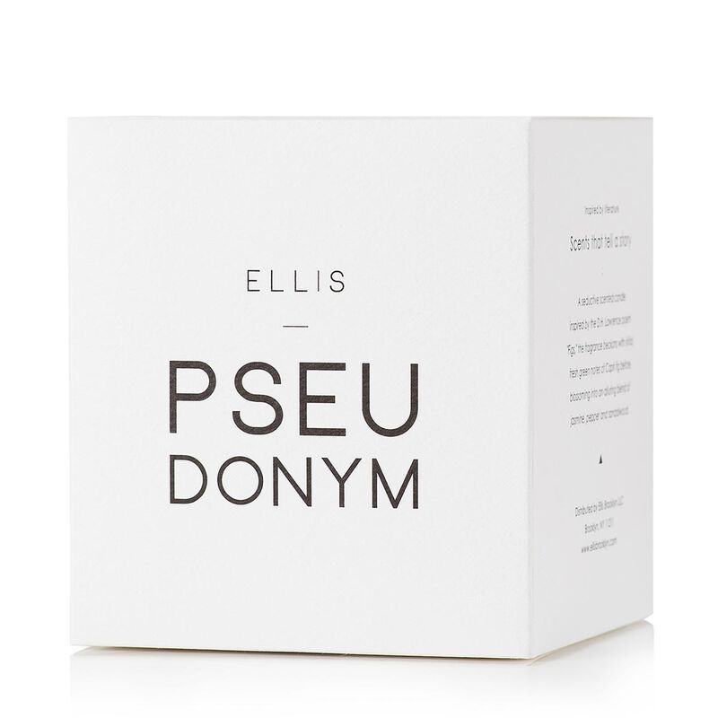 ellis brooklyn pseudonym terrific scented candle 185g