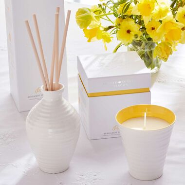 faces sophie conran reed diffuser 200ml   purpose