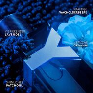 faces y men edp v200ml mad